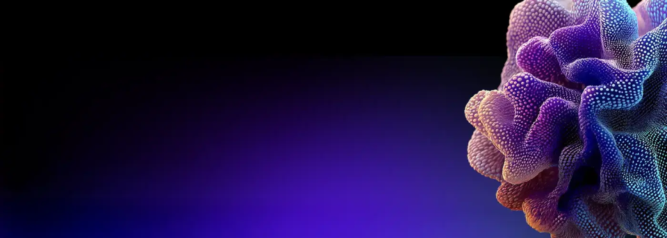 Home Slider 1400 x 500 (1)